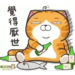 白爛-動態2025-12