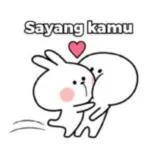 maap yang