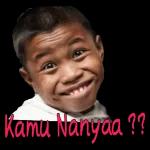jgn didengerin dia lg kumquat