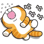 白爛-動態2025-12