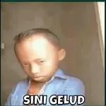 SINI GELUD