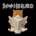 廁所貓貓✩別吵!我在用力✩
