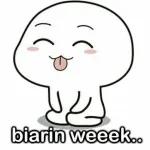lucu