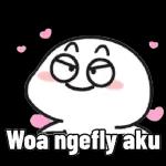 Woá ngefly aku
