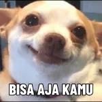 NGGAK BISA BERSOSIALISASI