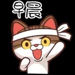  暑埋一二角
Geor
Jentle
cat
小
唔好搵命搏