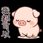 小豬豬愛聊天
