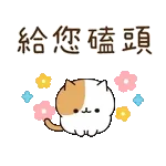 早晨☀️☀️☀️新嘅一天開始啦💗