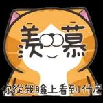  暑埋一二角
Geor
Jentle
cat
小
唔好搵命搏