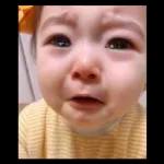 salam kokompak slalu