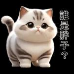 可愛的小肥貓🐱 