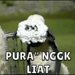 ngelu
delok
polah
mu