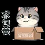 貓系列(4)-灰色虎斑貓