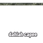                             bear bareTOP STICKERS