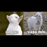 
                            pentol memeTOP STICKERS