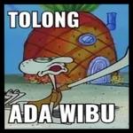  Kabur..