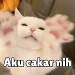 Aku cakar nih