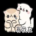 你 看 看你 呵 呵
