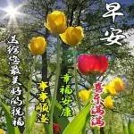 祝全家平安健康