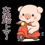 小豬豬愛聊天