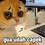 Boleh sy pnjam seratus? D