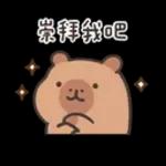 卡皮巴拉★超E小水豚