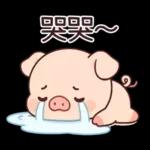 小豬豬愛聊天