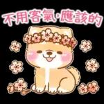最近好吗～好久没有联系啦