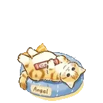 我在等你哦～！！！！！