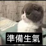 窩不知道