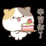 可愛貓貓❤貼心日常❤7