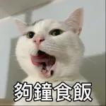 首书全面