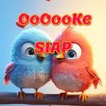 Boleh star plan harini