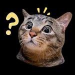 麻吉太郎 日常篇 