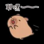 卡皮巴拉★超E小水豚