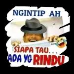 NGINTIP AH SIAPA TAU... ADA YG RINDU