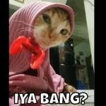 Mau gk jdi pacar aku?
Di bales jdi pacar aku
Di read jdi pacar aku
Gk di read jdi pacar aku
Di uf jdi pacar aku
Di blok jdi pacar aku
15.16 ✔
15.16 ✓
15.17 ✓
15.17 ✓
15.19 ✓/
15.19 ✓/