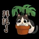 躲貓貓3-貓咪小插畫