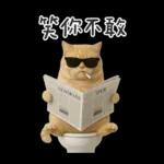 廁所貓貓✩別吵!我在用力✩