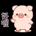 小豬豬愛聊天