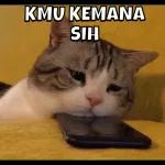 LIAT MUKA GUE
PEDULI GAK KONTOL