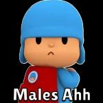 pocoyo 