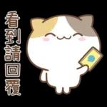 可愛貓貓❤貼心日常❤7