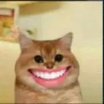 jangan nyolong anjing