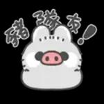 灰灰的灰布布🐰 