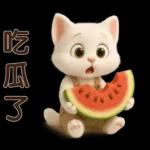 可愛白貓⭐ 日常實用