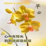 Good
Morning
