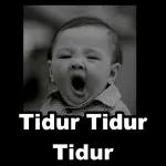 ALL BASI