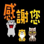 猫爪抓-礼仪大字貼 