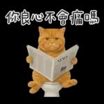 廁所貓貓✩別吵!我在用力✩